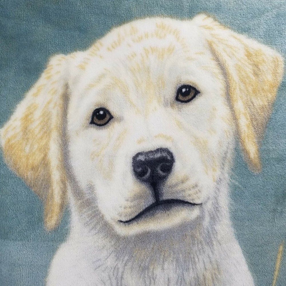James Hautman Yellow Labrador Retriever Fleece Throw Blanket Northwest Co Puppy